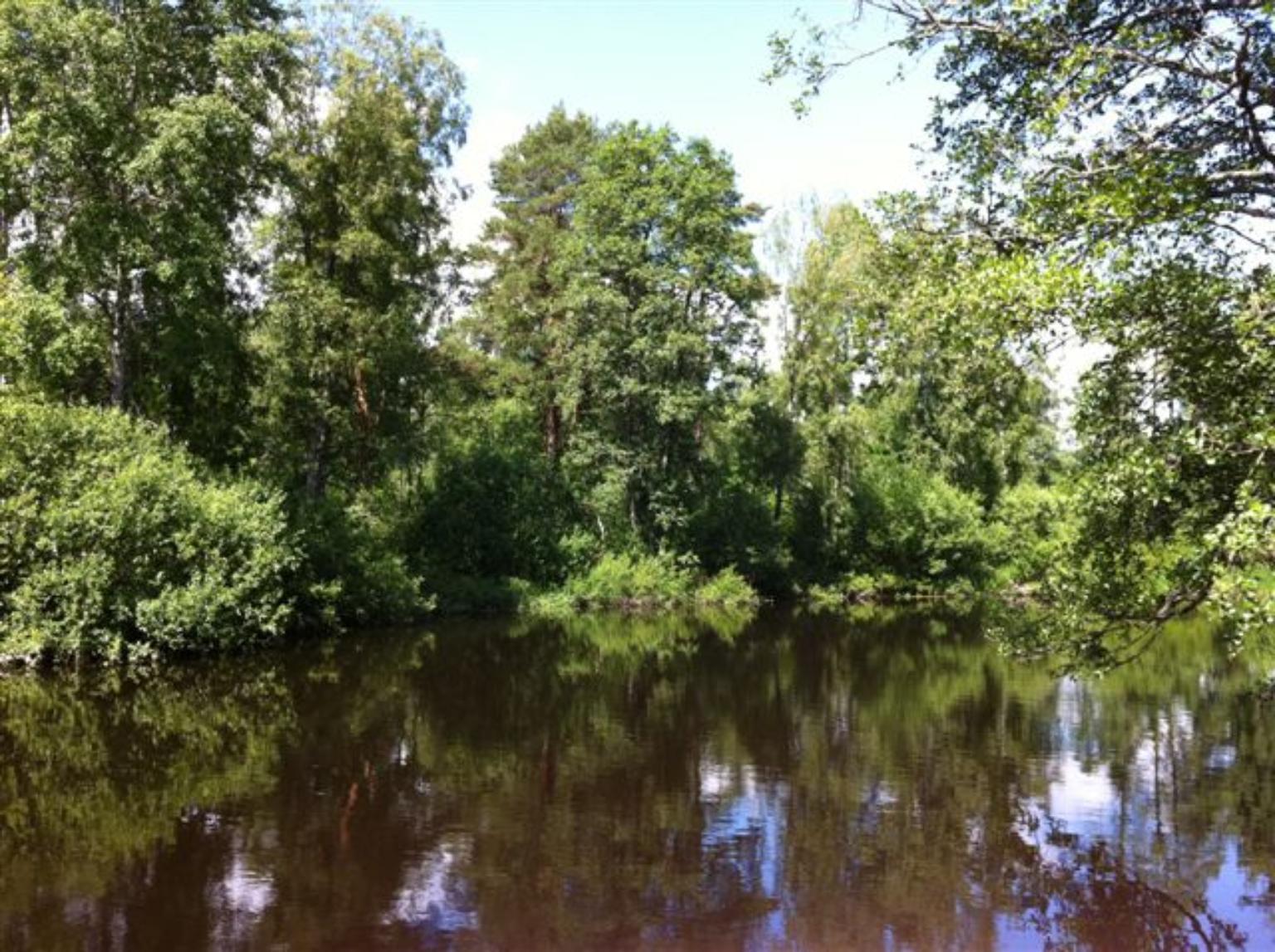 MYCKET ENKEL stuga i Gemla vid Alvesta – bild 7 av 8