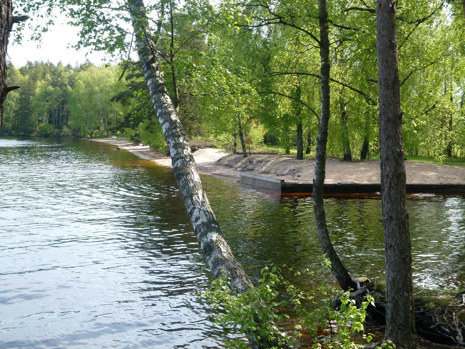 Välskött stuga vid sjön MELLANFÄRGEN – bild 12 av 12