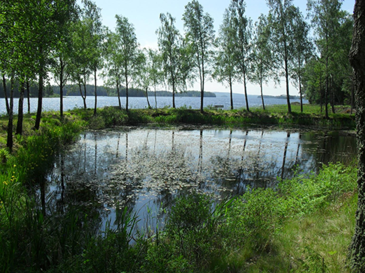 Trevlig stuga med bästa läget vid sjön IMMELN – bild 11 av 12